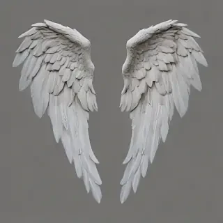 png angel wings