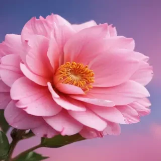 cute pink iphone wallpaper