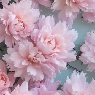 pastel aesthetic wallpaper iphone