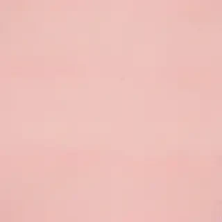 blush background