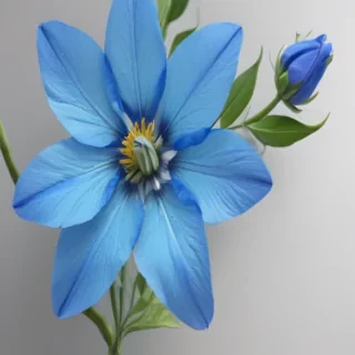 blue flower transparent