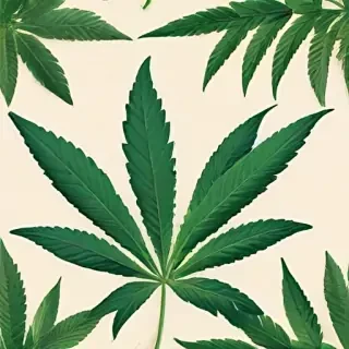 marijuana leaf transparent background
