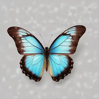 transparent background butterfly png