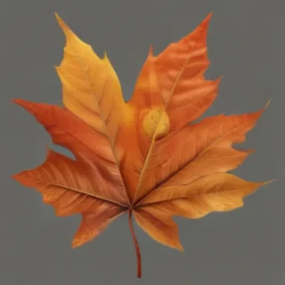 autumn leaf png