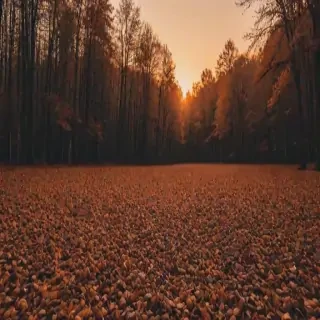 fall wallpaper iphone aesthetic