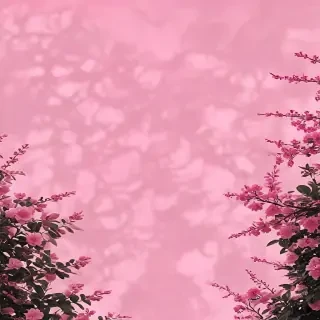 aesthetic pink iphone wallpaper