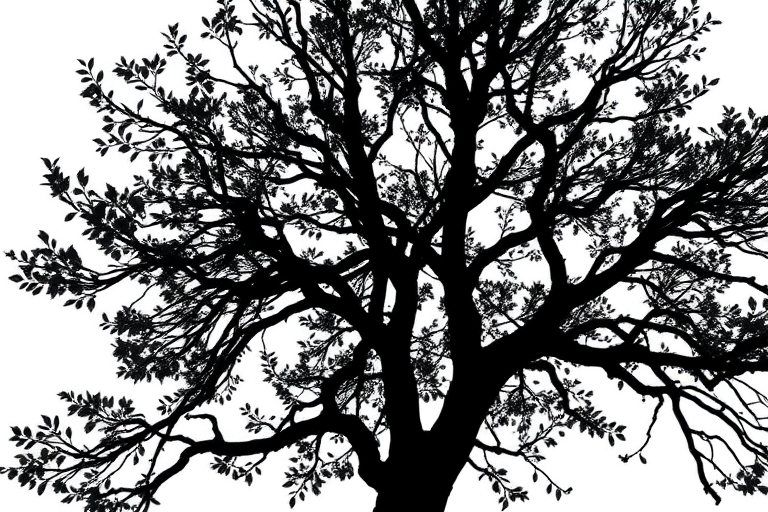 Create a high-resolution black silhouette of a tree with intricate branches and leaves against a bright white background, captured with a Canon EOS R5, 50mm lens, f/1.8 aperture, ISO 100, in a portrait view, with natural lighting to enhance the details.