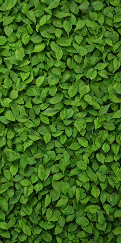 leaf background green