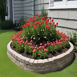 flower bed
