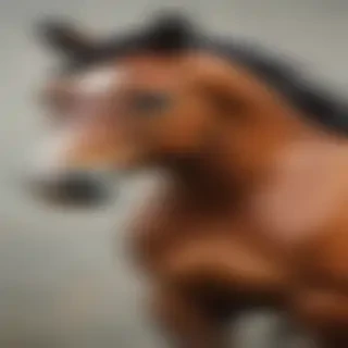 pictures of horses to draw