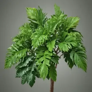 greenery png