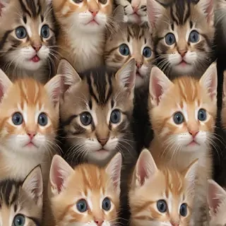 kittens background