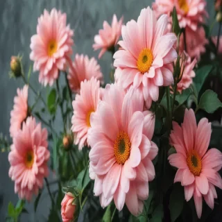 cute aesthetic flower wallpapers