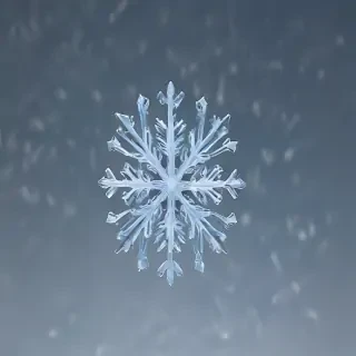 snowflake.png