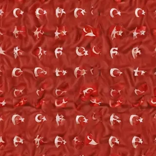 turkey flag