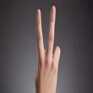 middle finger background