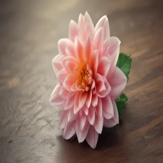 cute simple wallpapers
