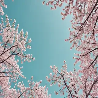 spring aesthetic desktop wallpaper