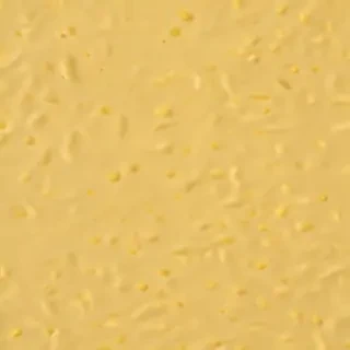 aesthetic yellow background