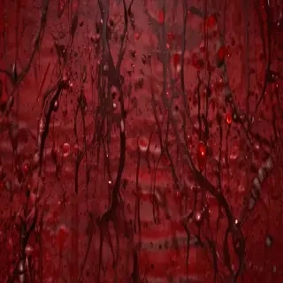 wallpaper of blood