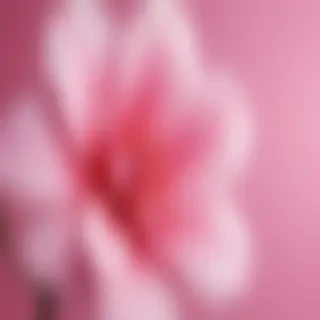 girly pink wallpaper iphone