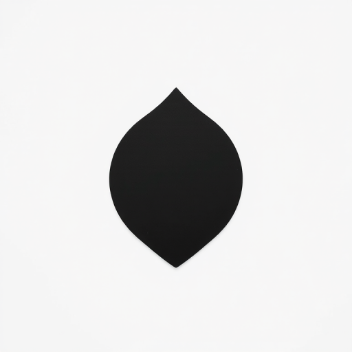Create a high-resolution image of a minimalist black silhouette design on a white background, shot with a Canon EOS R5 at f/8, ISO 100, 1/200s, using a standard lens in a flat lay style.