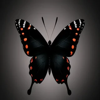 black wallpaper butterfly