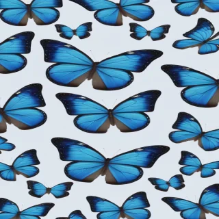 blue butterfly aesthetic