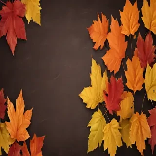 fall leaves png