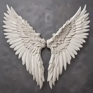 angel wing pictures