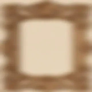 fancy frame png