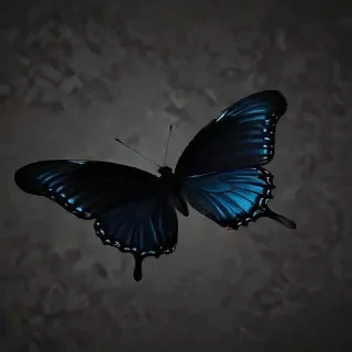 black wallpaper butterfly