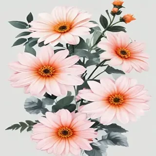 aesthetic flowers transparent background