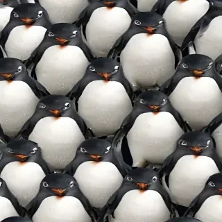 penguin background