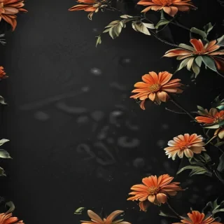 wallpaper black mobile