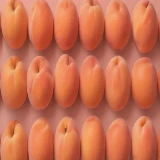 peach background wallpaper
