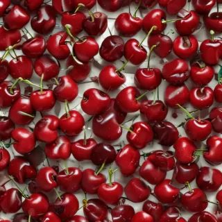 wallpaper cherry