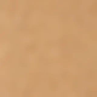 craft paper texture