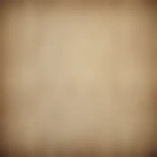 vintage texture overlay