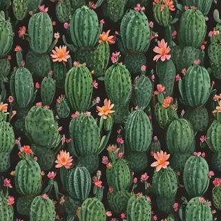 cactus wallpaper iphone