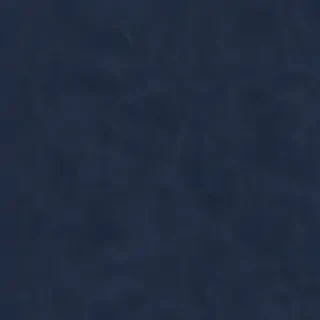 navy blue bg