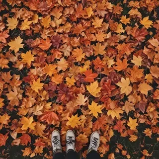 fall leaves aesthetic