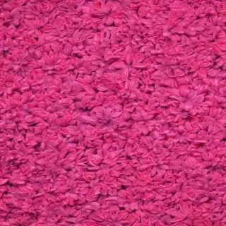 neon pink wallpaper