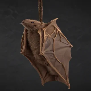 bat png