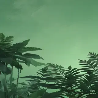 aesthetic background green