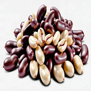bean png