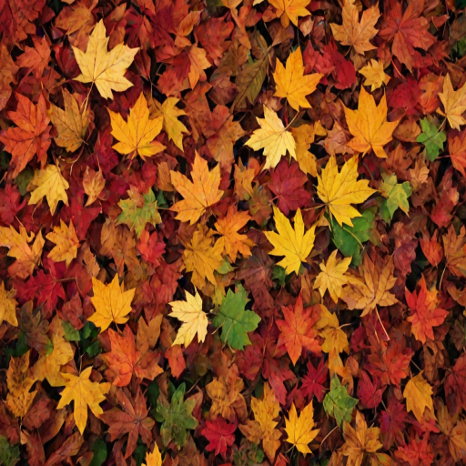 autumn leaves iphone wallpaper
