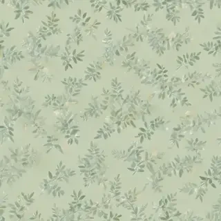 light sage green background