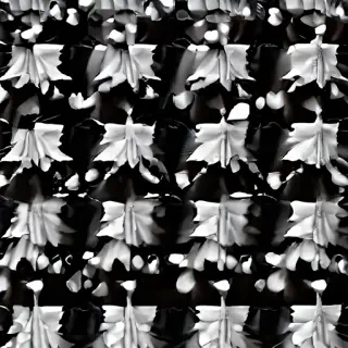 thank you in black and white
