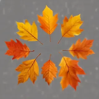 fall leaves png
